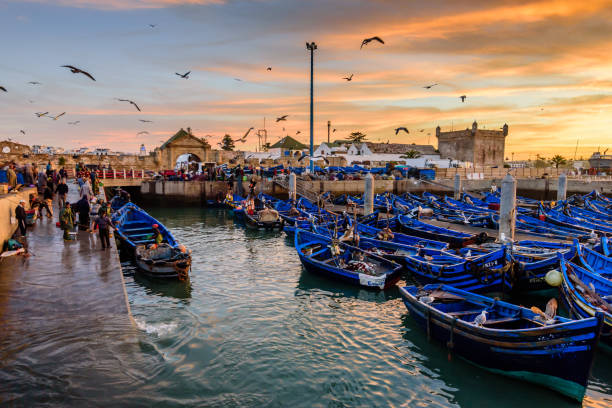 Excursión de un día desde Marrakech a Essaouira