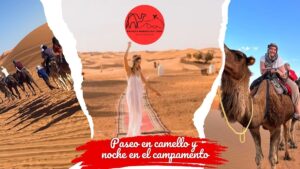 Paseo en camello y noche en el campamento